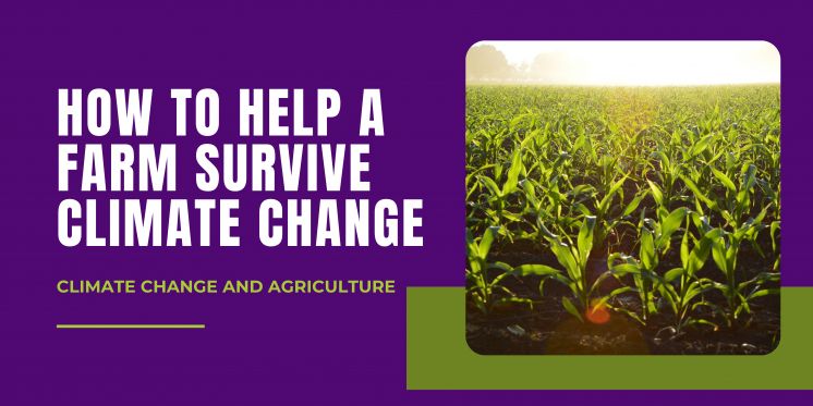 How To Help A Farm Survive Climate Change